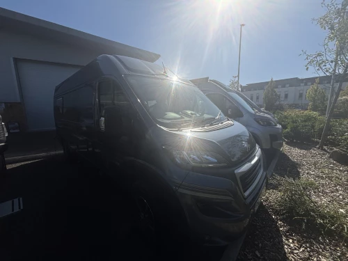 Auto Explore RL (2022)